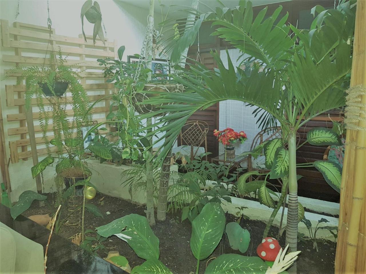 Pousada Terra Garrida Maceió Esterno foto